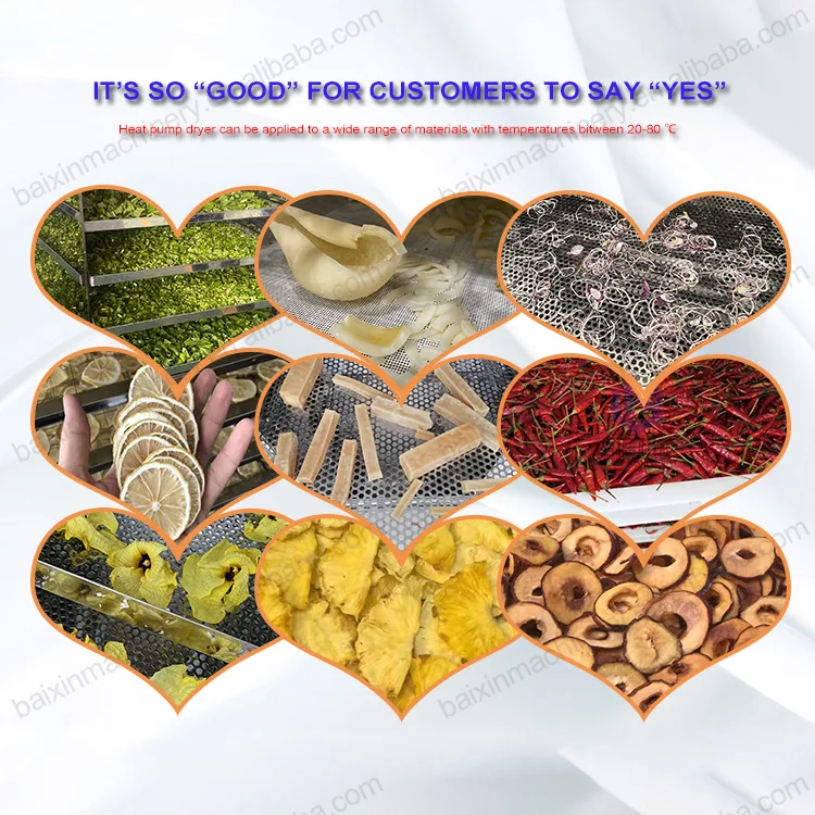 Siliguri Ginger Dry Extract Slicing Cutting and Drying Dust Dryer Machine and Cost Dry Turmeric and Ginger