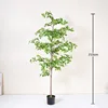 Green 210cm