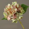 Rosa Verde