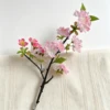 Deep Pink (with 8 clusters of 46cm fewer flowers)