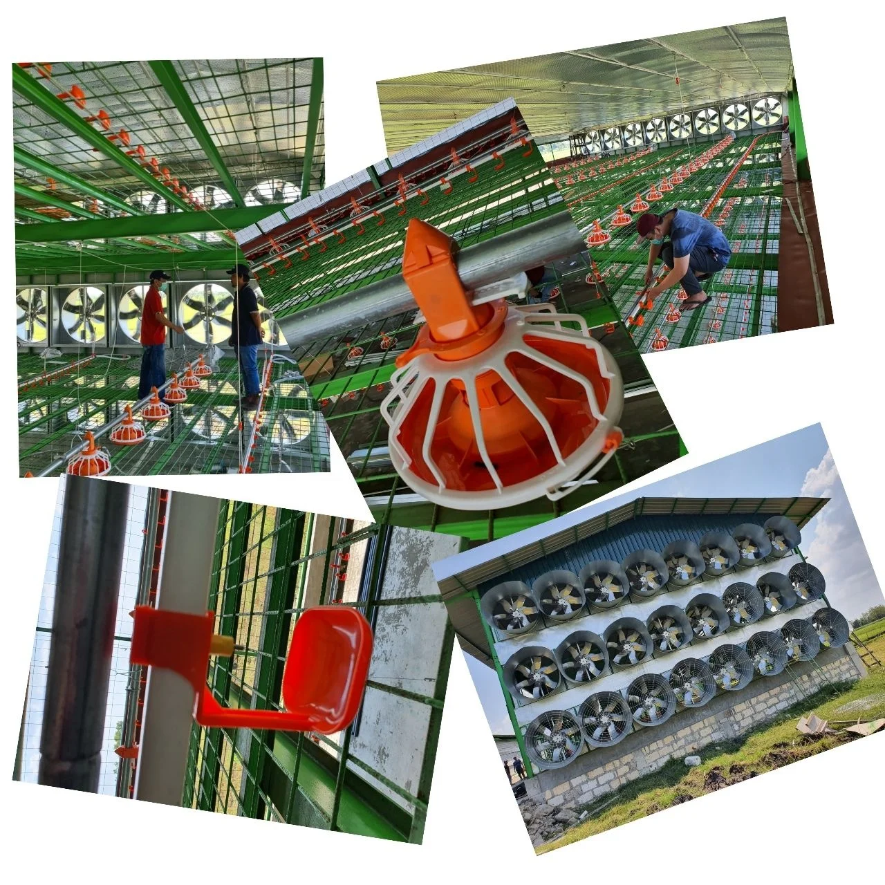 Poultry Automatic Feeding System for Broiler Farm Poultry Farming Equipment /Broiler Pan Feeder/poultry Feeding Line System