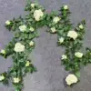 Auspicious Rose Vine - White (180 cm)