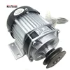 48V 750W