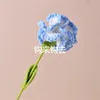 Garofano sfumato blu