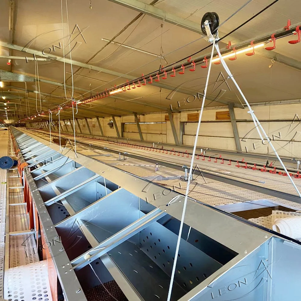 Automatic Chicken Chain Feeding System Poultry Feeder Chain Automatic Layer Poultry Equipment