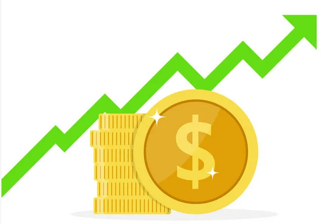 EMS Investment