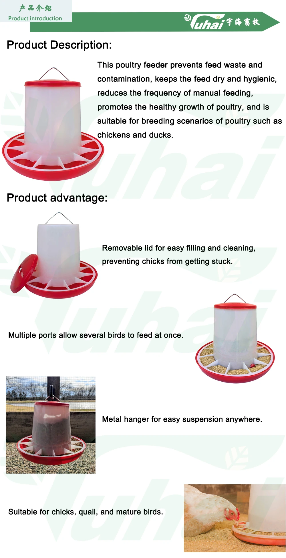 Factory Supply Manual Hanging Plastic Poultry Hen Feeder 3.5kg Red Base for Farm Animal Feeding manufacture