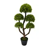 Green-TZL2411131