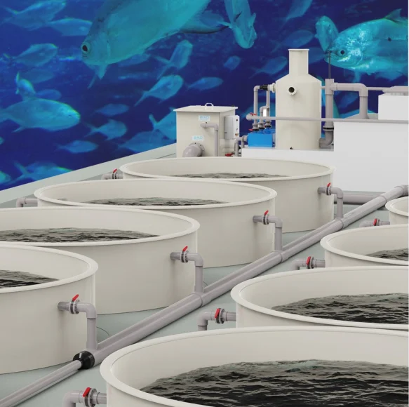 Automatic Aquaculture Ras System Equipment for Indoor Fish Farming ...