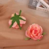 ดอกไม้สีชมพู