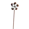 Cotton