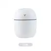 Easter Egg Humidifier