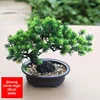 Verde 5