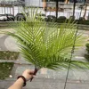 9 fork iron leaves