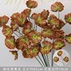 Brown three-headed poppy branch