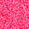029