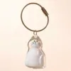 transparente 5