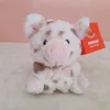 Spotted pig