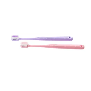 Toothbrush Manufacturer Modern Japan Tooth Brush Shopping Mall Same Style Customized OEM Factory Supply