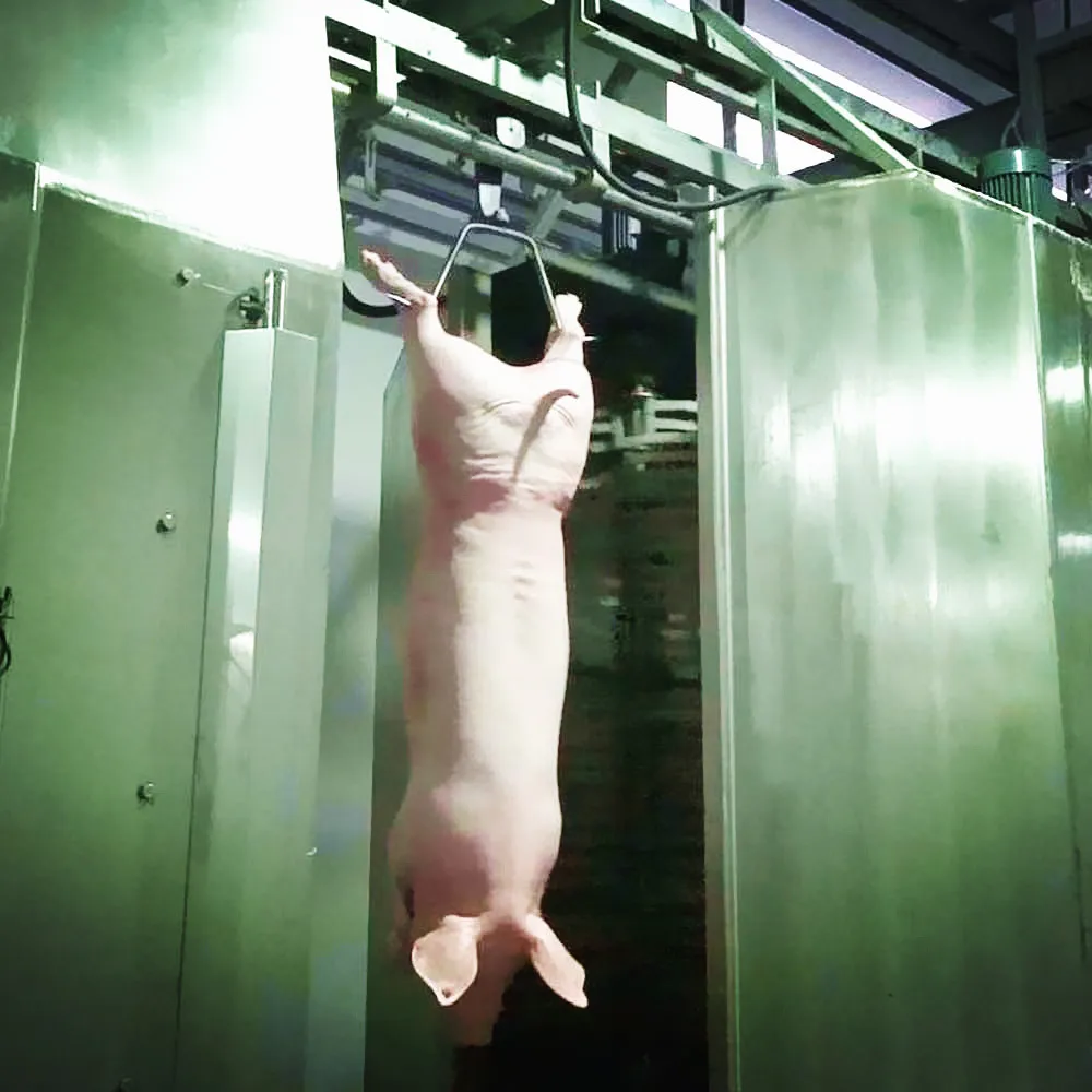 Sow slaughterhouse pig slaughtering equipment pig slaughterhouse production line