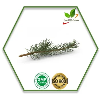 Wholesale Price For Massage Fir Needle 100% Pure Essential Oil