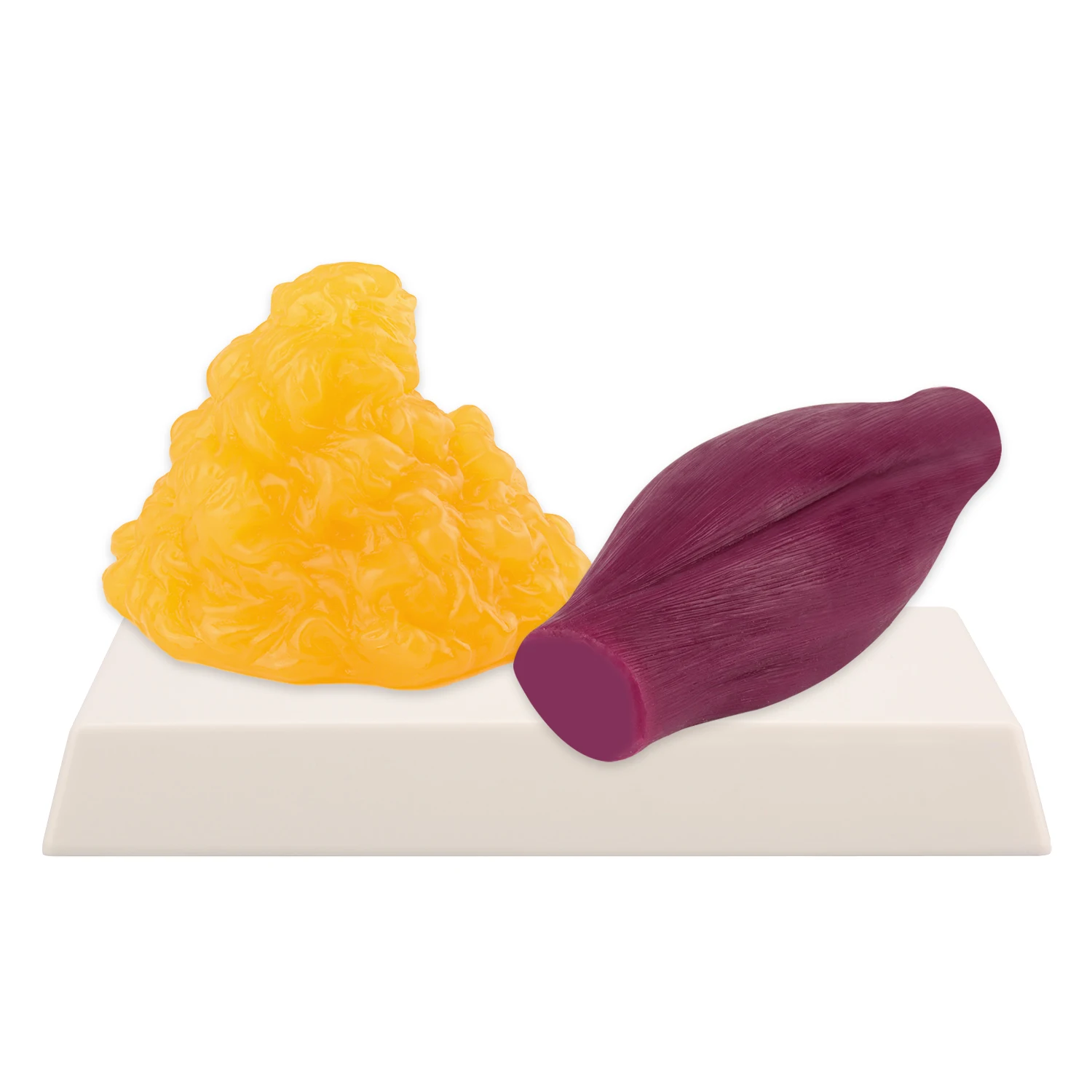 Artificial Soft Lbs Fat Model and Human Muscle Model