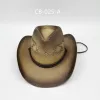 customization