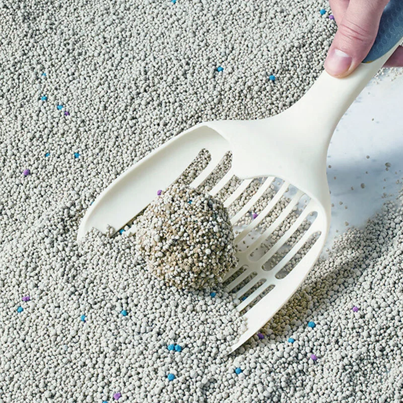 Cats Litters Hot Selling Bentonite Cat Sand Litter Free Sample Buy