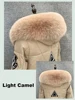 Light Camel