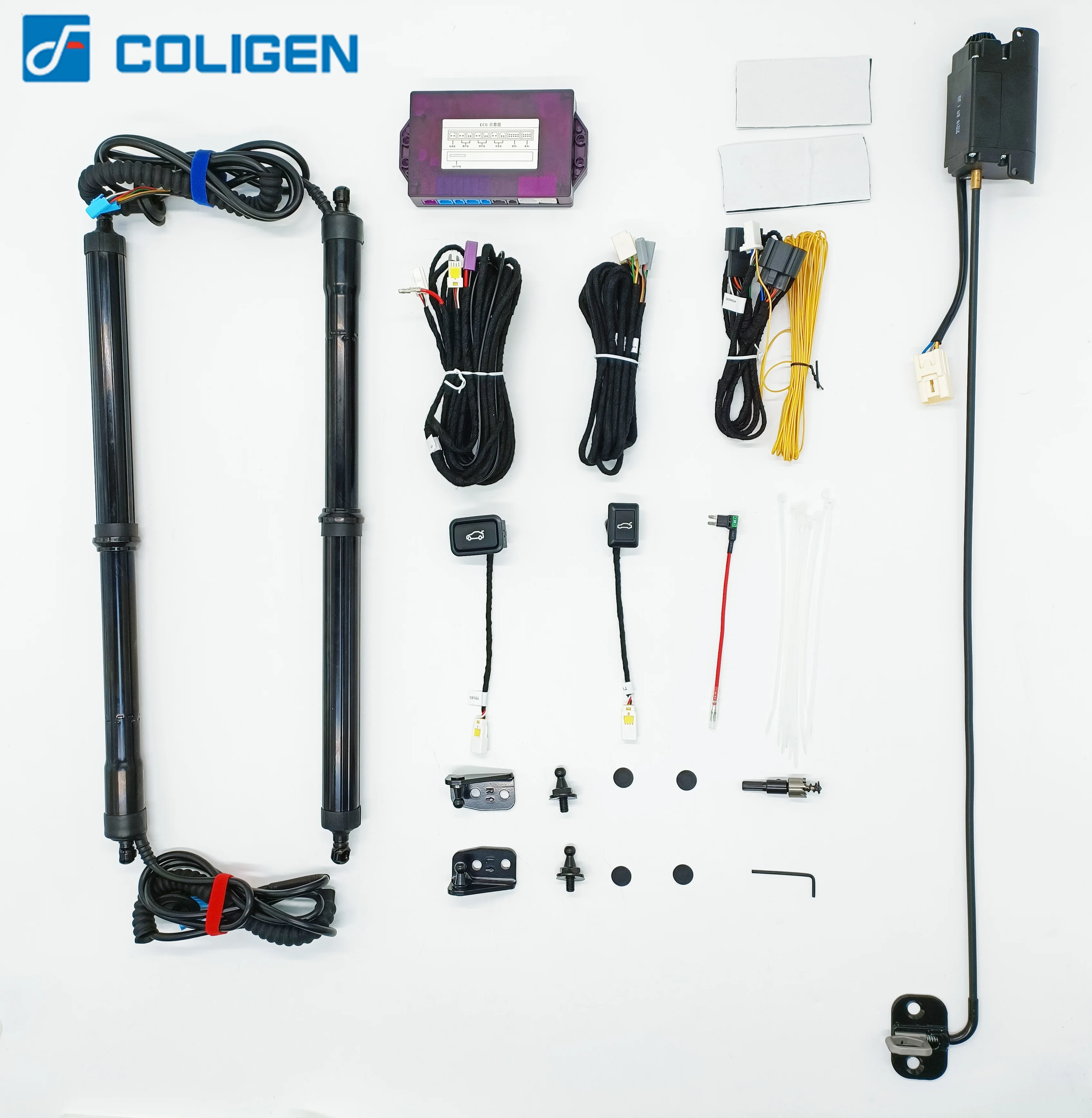 Aftermarket Power Tail Gate Lifter System Electric Tailgate Lift With