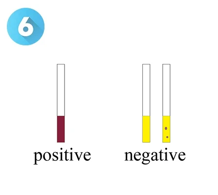 Quick Borax Detection Rapid Test Kit For Water And Food Analysis With ...