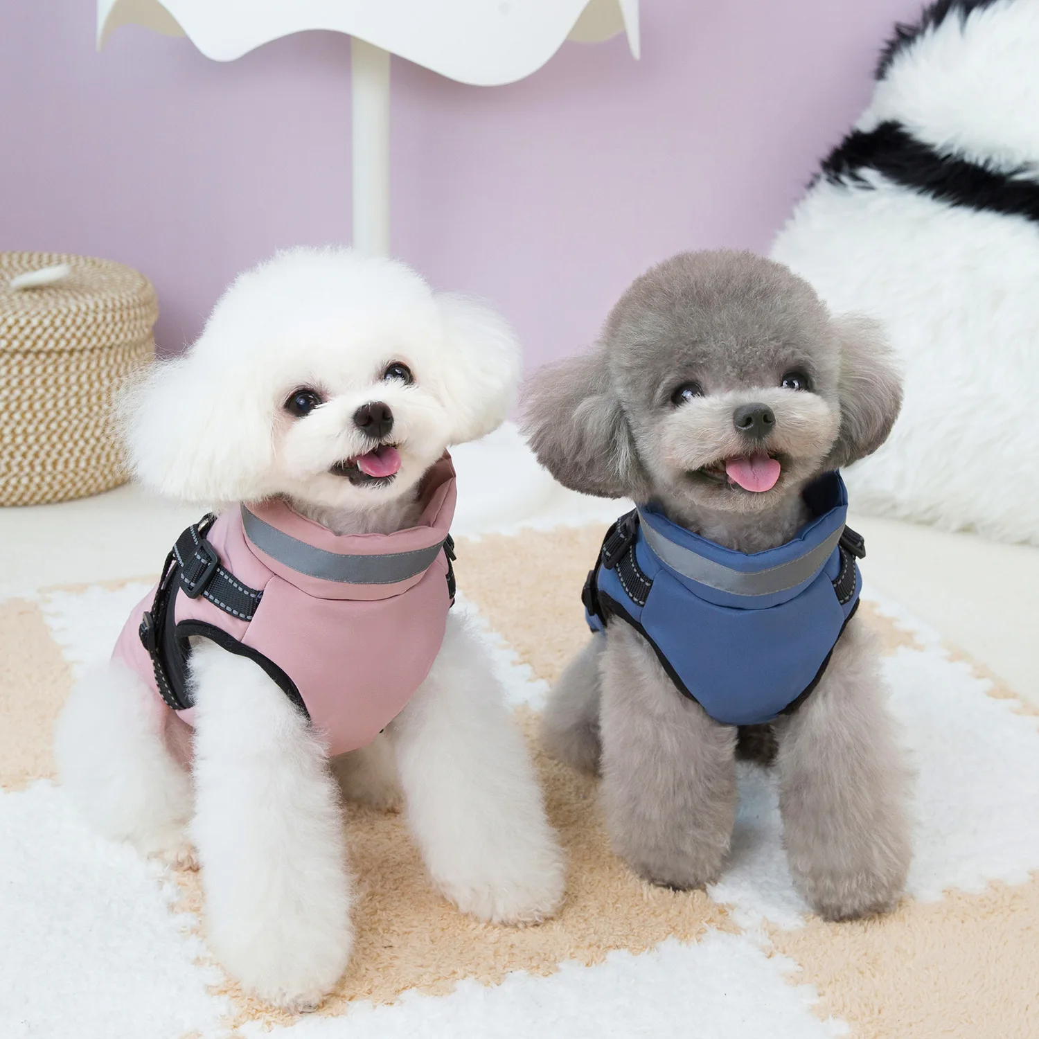 Wholesale New Winter Warm Dog Jackets Padded-Cotton Vest Coat with D Leash Ring Fabric Apparel Print Pattern Dog Clothes
