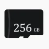256GB