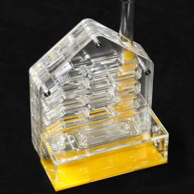 Factory Custom Portable square Transparent Magnetic Acrylic Ant Terrarium for Expo