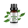 Aceite Esencial de Aromaterapia de Jazmín 10ML