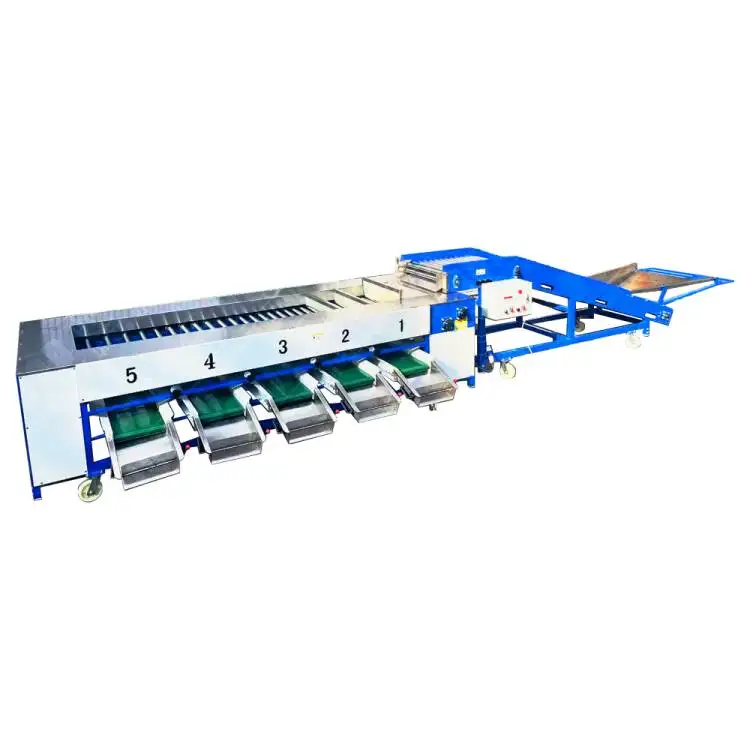 Professional Sorting Machine Ce Approved