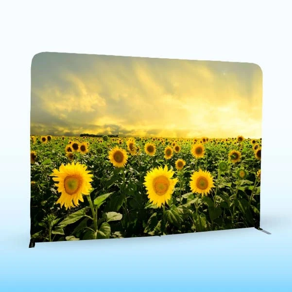 Trade Show Display  Factory Low Price Advertising  Steel Frame Tension Fabric Backdrop Stand