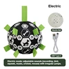 Modelo eléctrico