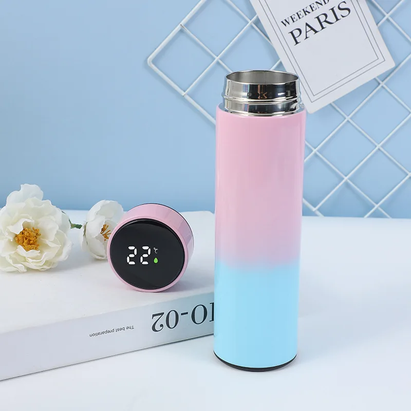 17oz Insulated Water Bottle with LED Temperature Display, Custom