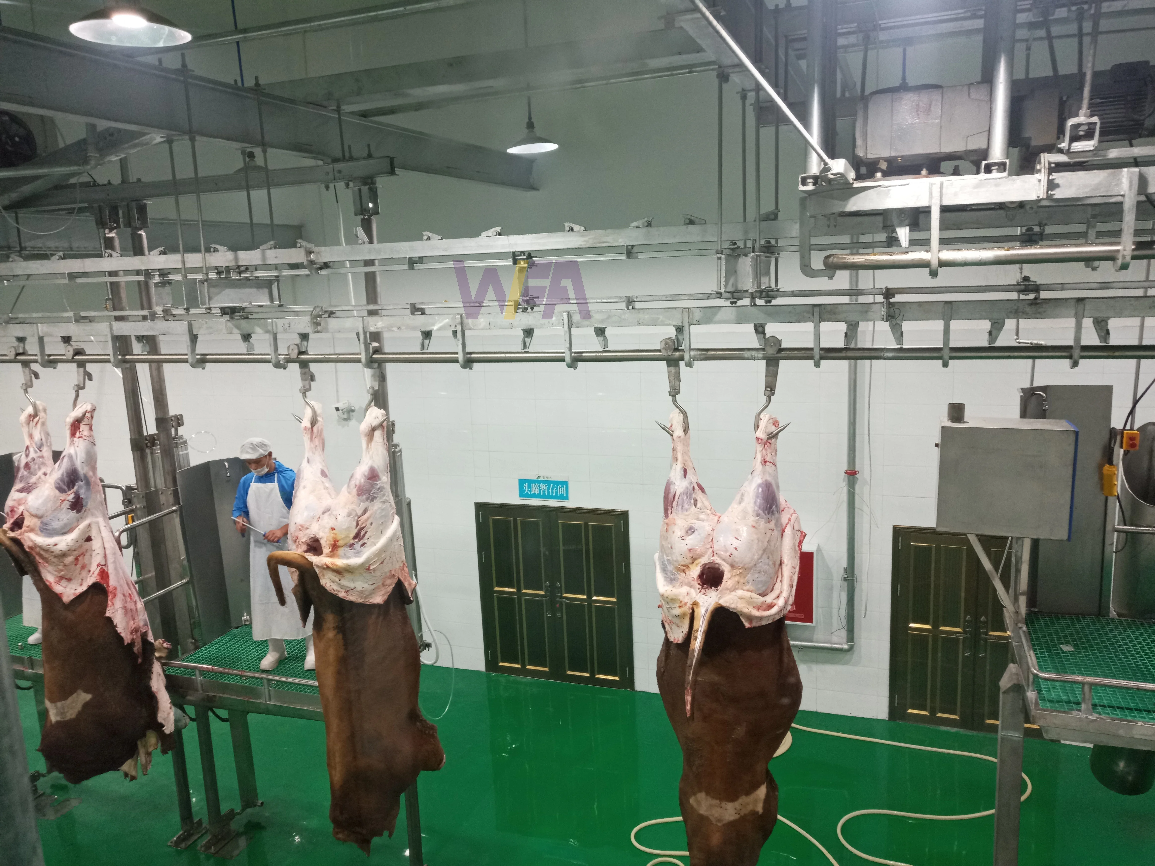 Modern Slaughterhouse Cattle Abattoir Complete Equipment For Cow ...