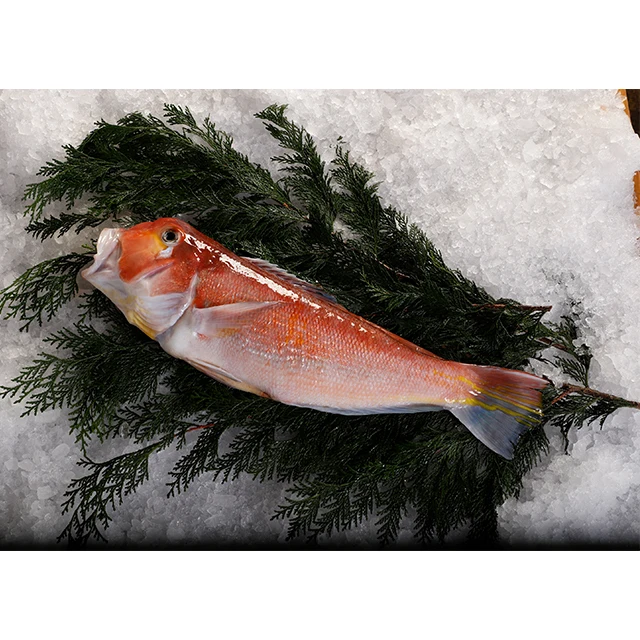 鱼片 马代 Buy 冷冻鱼价格 冷冻鱼买家 冷冻鱼片进口product On Alibaba Com