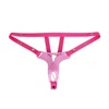Pink belt-Pink