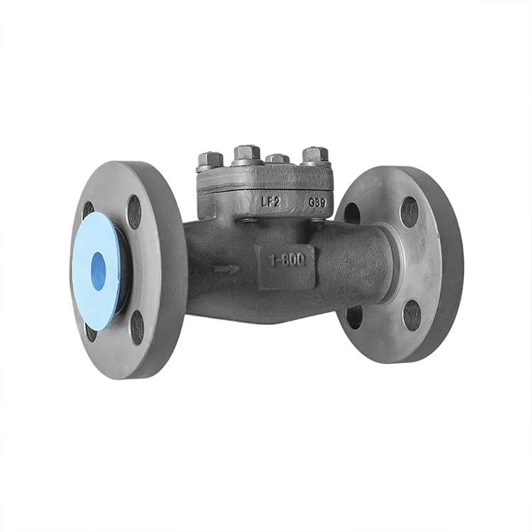 cryogenic forge steel swing  check valve 1inch