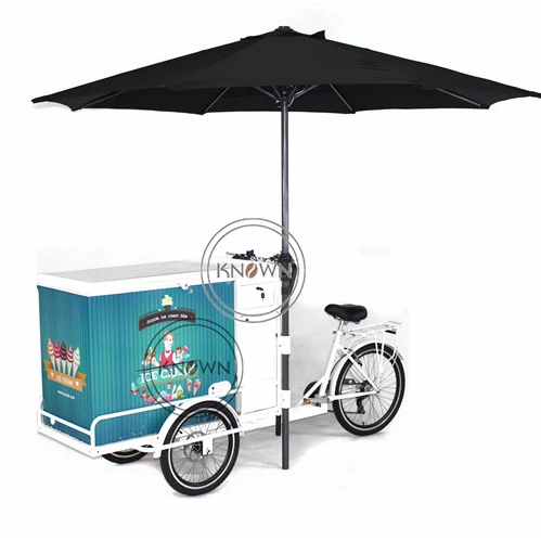 OEM Electric Ice Cream Tricycle with Battery Mobile Electric Cargo 3 Wheels Bike Trike for Sale