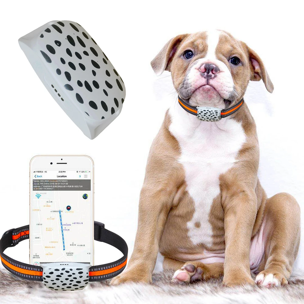 Dog Collar Dog Chip Locator App Dog Tracker Chip Canine Gps