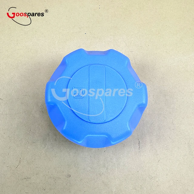 Sealing Cap OEM 3020701221 For SCANIA RVI VOLVO European Truck