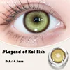 Leggenda di Koi
