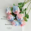 Blue-Pink