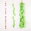 8 bitter gourds, 1 meter long