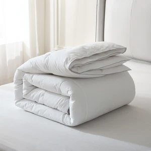 Factory Direct Supply Custom Sizes & GSM Hotel Grade Duvet Insert for All Seasons